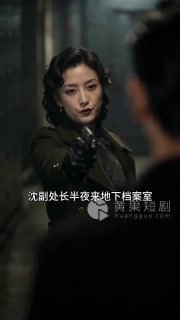 谍影红颜海报